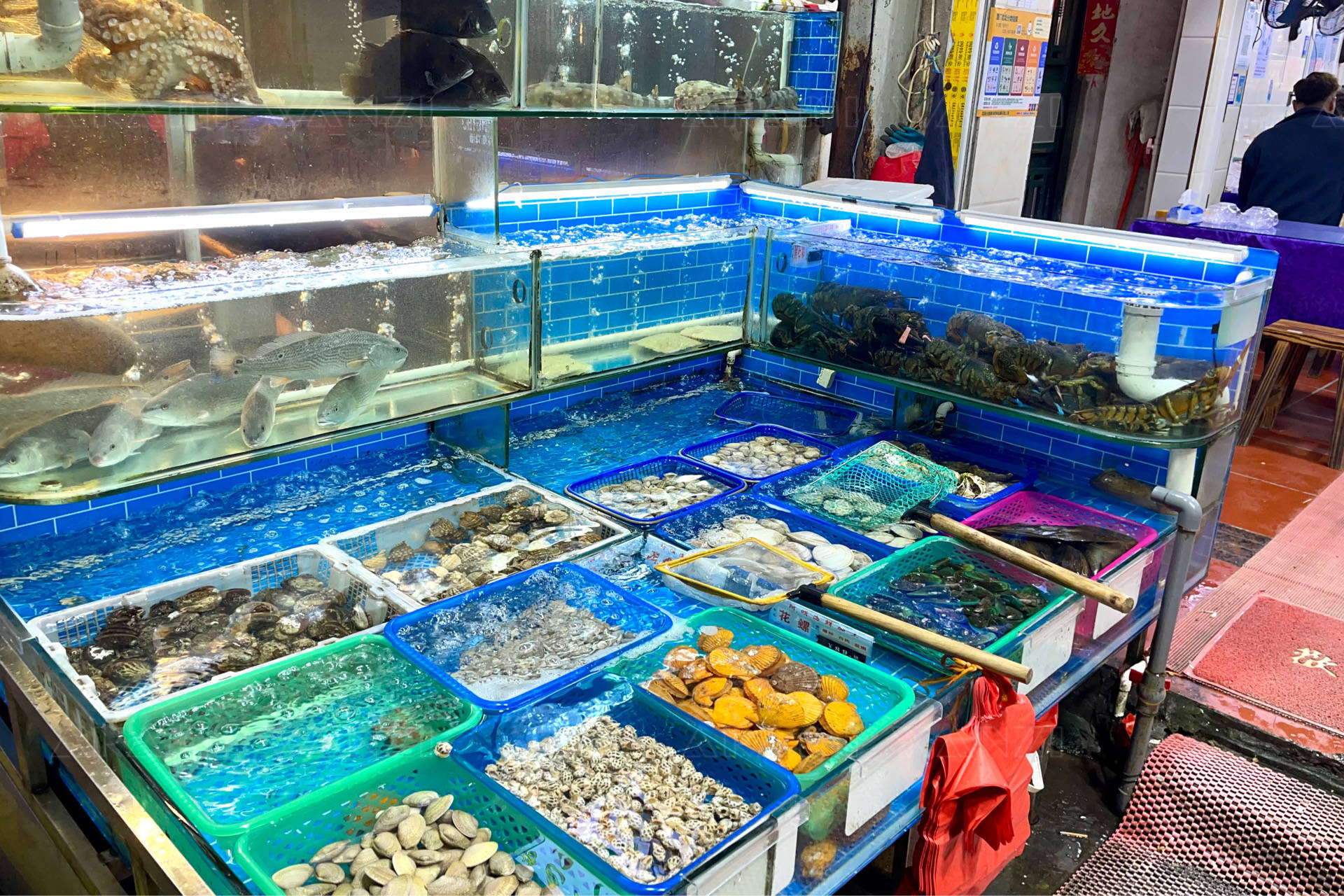 廈門八市里的珍饈 鑲金包銀養(yǎng)殖巴浪魚，海鮮加工店的獨特風(fēng)味