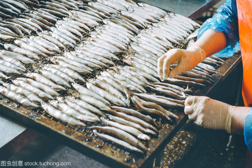 海產(chǎn)品加工 技術(shù)與市場的融合