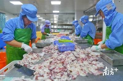 南澳島羊嶼村 幫扶助力海產(chǎn)品加工發(fā)展，貧困戶全部實現(xiàn)脫貧增收