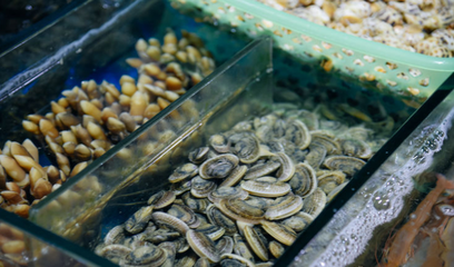 三亞旅游必打卡 第一市場海鮮琳瑯滿目，周邊加工川味一條街體驗獨特海產(chǎn)品加工