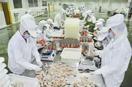 金花茶香飄邊陲，海陸門戶涌商機(jī)——探訪活力迸發(fā)的東興邊境經(jīng)濟(jì)合作區(qū)