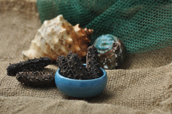 國(guó)內(nèi)三大海參產(chǎn)地探秘 品質(zhì)、特色與市場(chǎng)銷售全景