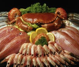 海產(chǎn)品加工廢水治理挑戰(zhàn)與解決方案概述